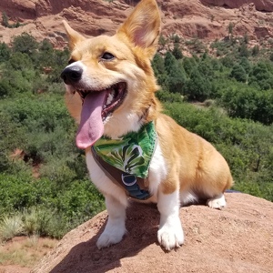 Fundraising Page: Deborah Santeliz-Lockwood